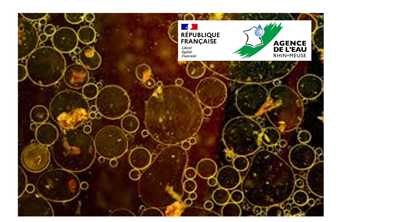 AGENCE DE L'EAU RHIN-MEUSE