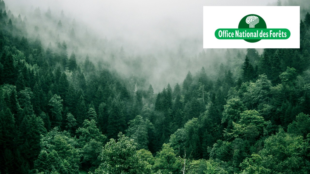 OFFICE NATIONAL DES FORETS